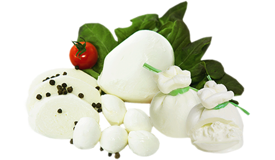MOZZARELLA / Mozzarella mini in brine