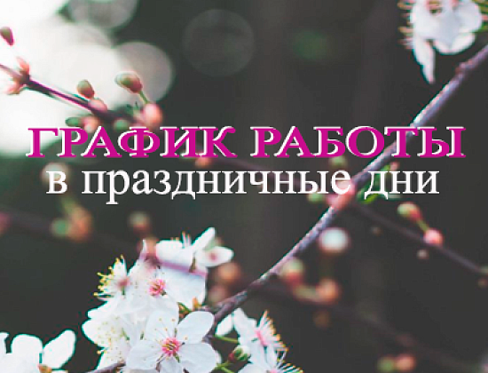 График работы в праздничные дни
